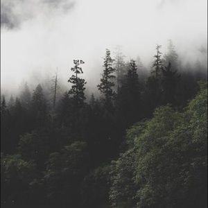 Meet your Posher, Kira